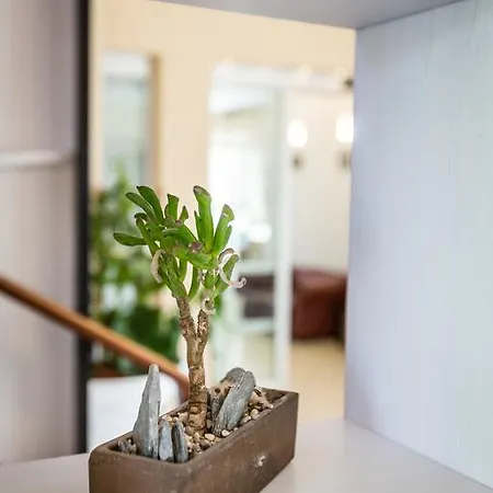 Szálloda King Marina di Pietrasanta