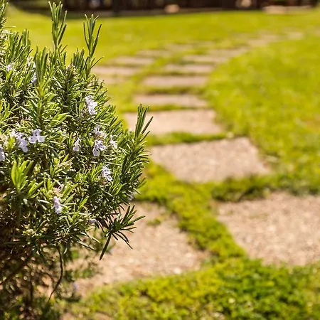 Ξενοδοχείο King