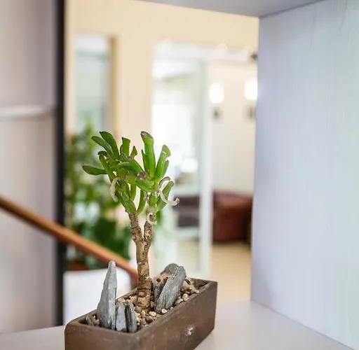 Hotell King Marina di Pietrasanta